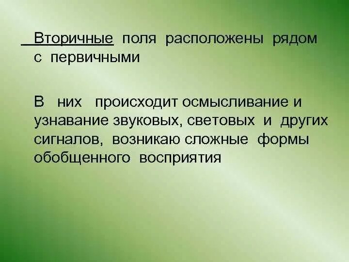 Вторичные поля мозга. Вторичные поля. Первичные и вторичные поля. Вторичные поля отвечают. Первичные поля отвечают.