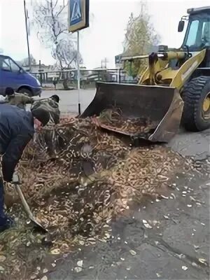 Водоканал ртищево. МУП благоустройство. МУП благоустройство Климово. Муниципальное унитарное предприятие благоустройство. МУП благоустройство Чернышевск.