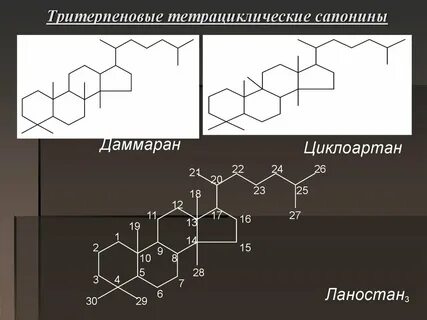 Стероидные сапонины