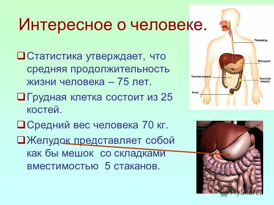 для человека в массе характерно