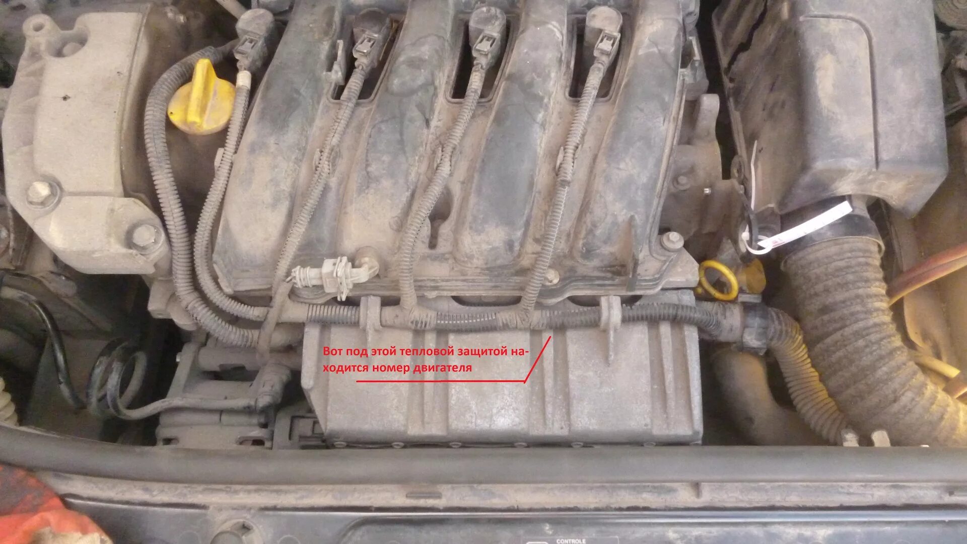 Где находится номер двигателя Renault Kangoo 1,9 F8Q (14 видео)