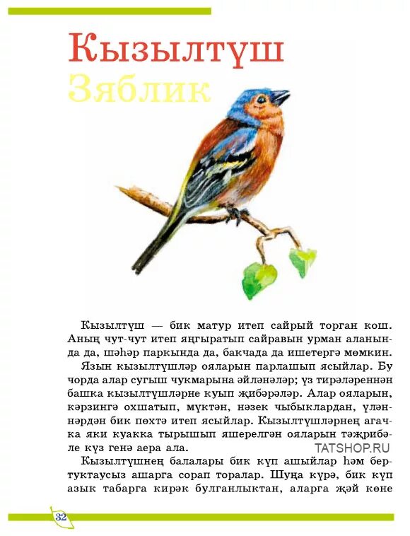 Перевод птиц с башкирского на русский. Птицы на татарском языке. птицы на башкирском языке. описание птиц на татарском языке. сказки про птиц.