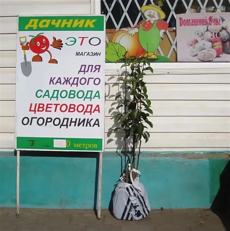 Магазин для дачников и садоводов. Урванский рынок в Новомосковске. Реклама клуба садоводов. Название клуба садоводов. Клуб садоводов профессионалов сайт