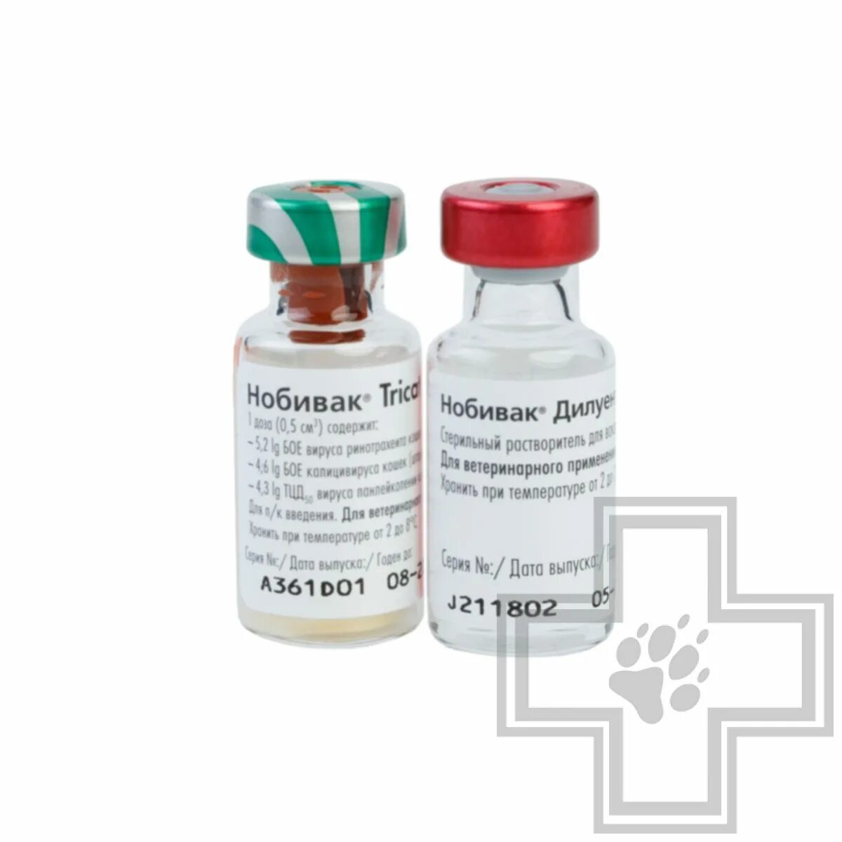 Трикет трио для кошек купить. Нобивак Tricat Trio. Вакцинация кошек Nobivac Tricat Trio. Nobivac Tricat Trio vaccine. Вакцина Нобивак трикет трио для кошек.