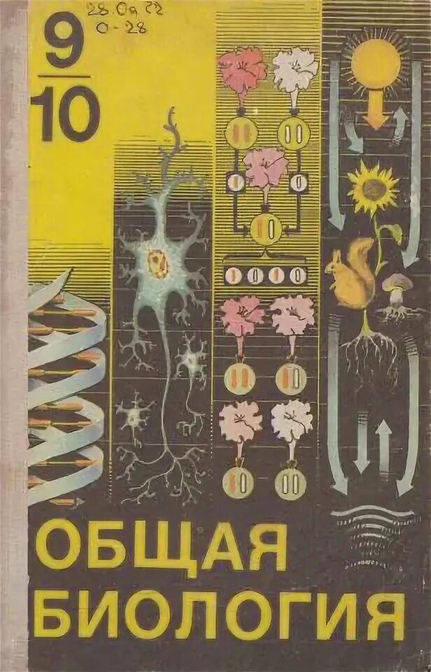 Биология 9 класс беляев. Рувинский общая биология. Биология 10-11 Беляев. Общая биология 1991 Беляев. Общая биология 10 11 кл Беляев д.к.