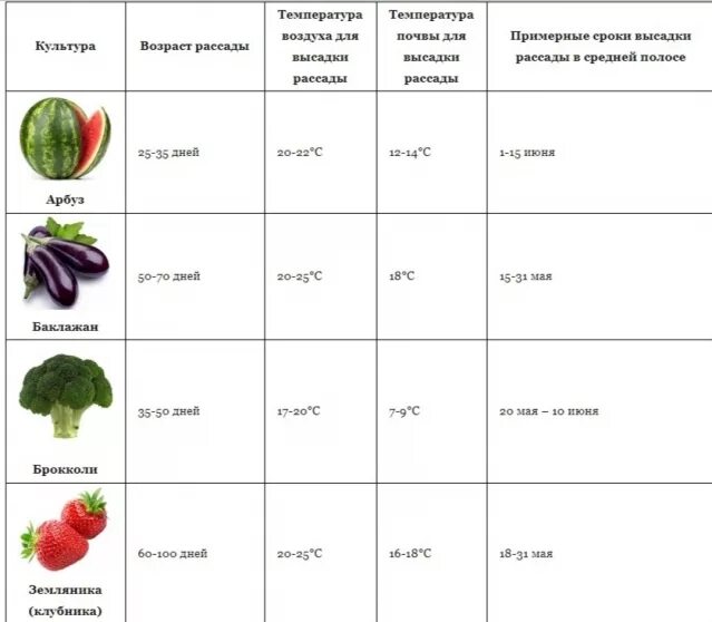 Оптимальная температура почвы для овощных культур таблица. Таблица температур для рассады овощей. Таблица температуры почвы для посадки овощей. Температура грунта для посадки овощей.