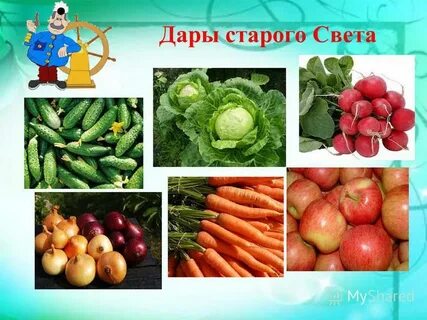 Старого света