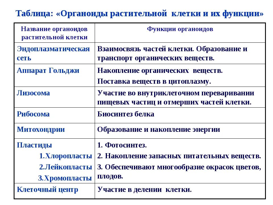 Строение клетки функции органоидов клетки таблица. Функции органоидов растительной клетки таблица. Органоиды клетки строение и функции таблица. Функции органоидов клетки таблица 10 класс.