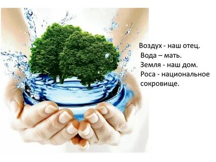 Water mother