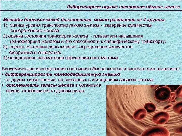 4 состояния обмена. Лабораторные показатели при нарушении обмена железа. диагностика нарушений обмена железа. к нарушениям обмена железа относятся:. биохимический метод диагностики показатели.