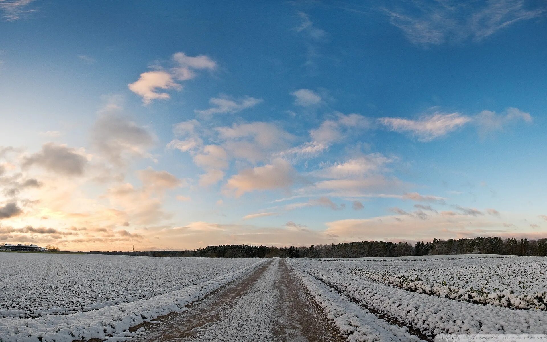 Зимнее небо. Зимнее поле. Зимние деревья. Снег поле. Snow field.