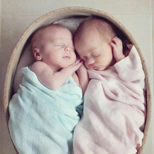 Двойняшки девочки. Два новорожденных. Новорожденные близнецы девочки. Двойняшки. Два новорожденных.