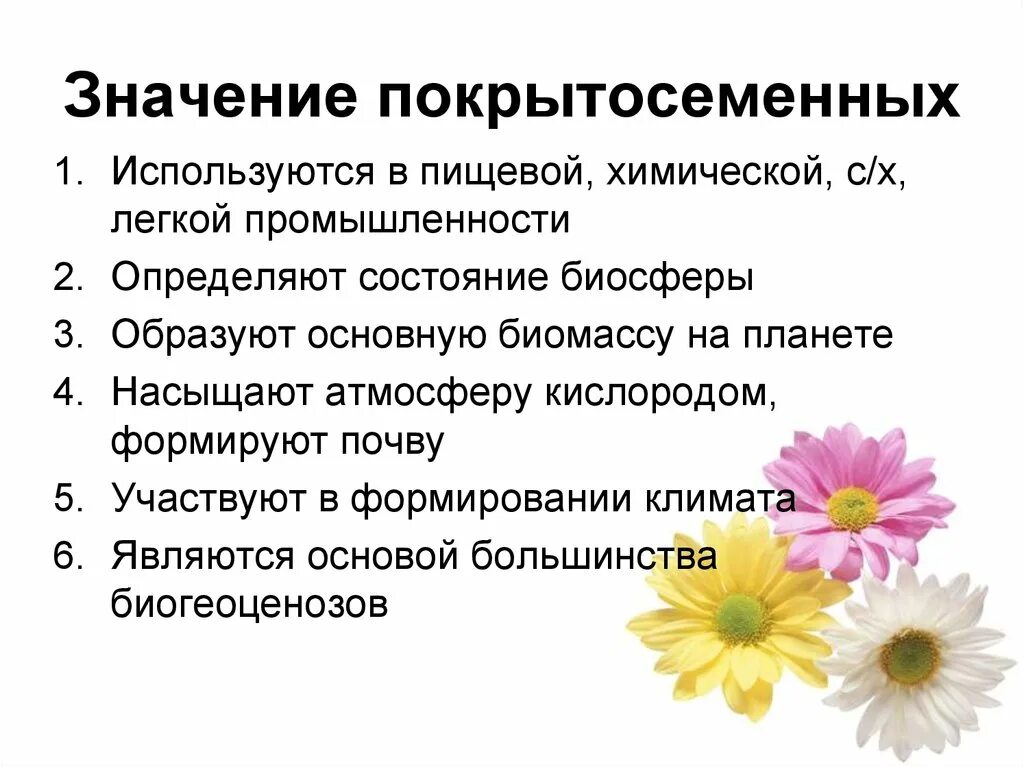 Функции покрытосеменных