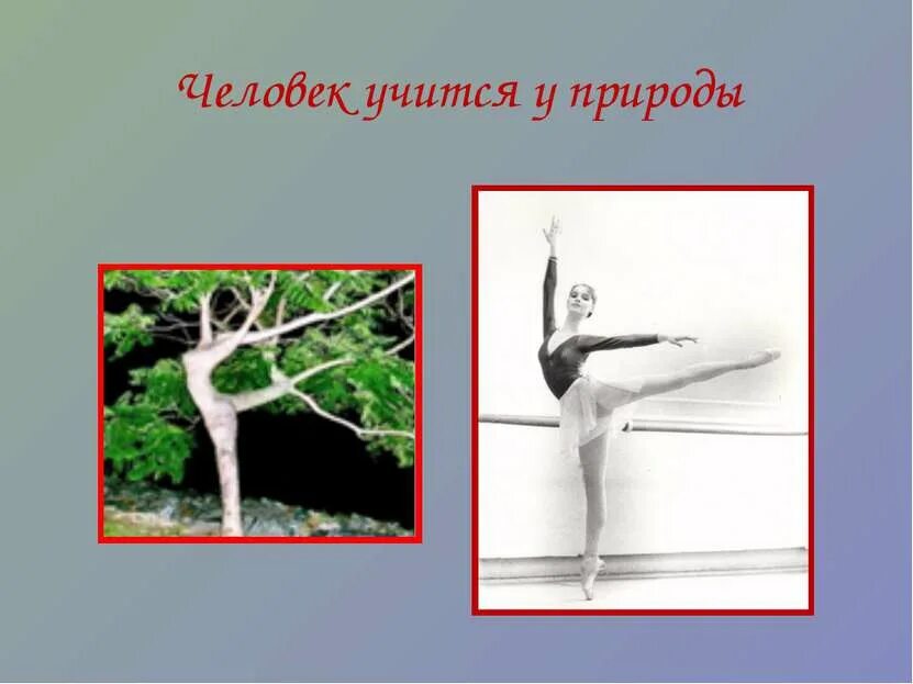 Учимся у природы. Чему может научиться у природы строитель. Чему может научиться у природы строитель. Чему может научиться у природы строитель. Чему человек научился у природы.