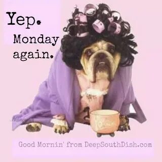 Fiona monday morning