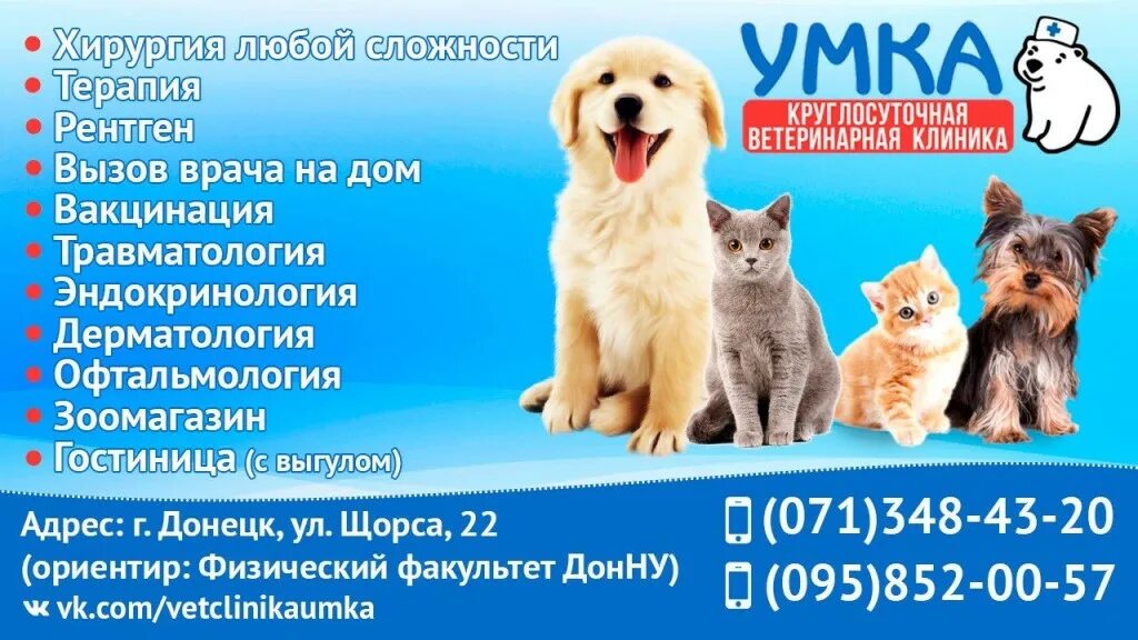 Ветлечебница умка. Ветклиника умка на руставели. Стара загора 172 а умка. Логотип ветеринарной клиники. Умка ветеринарная клиника челябинск.