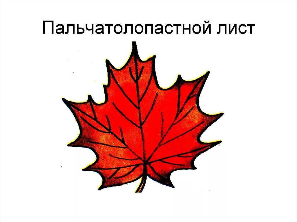 Значение слова листочек