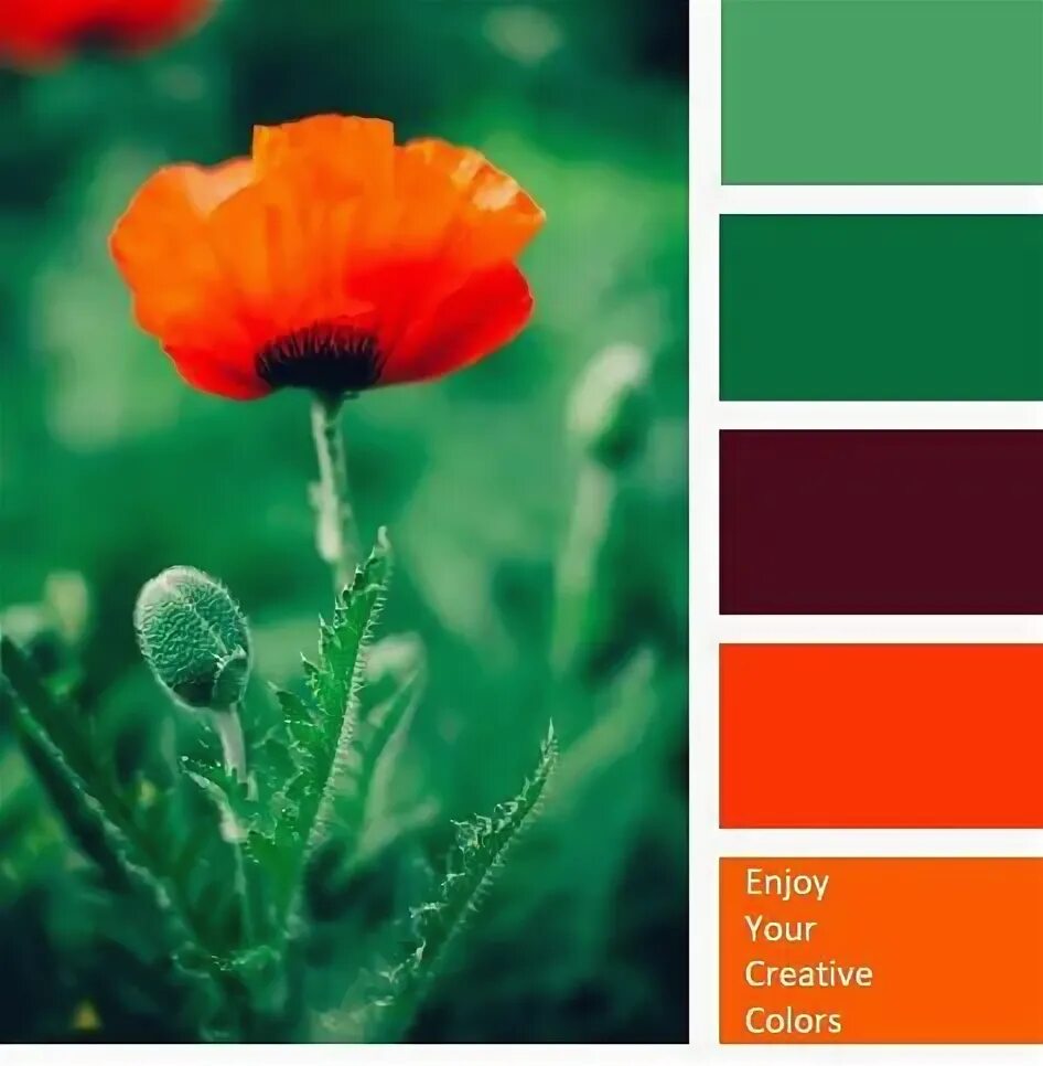Сочетание цветов оранжевый и зеленый Black Green and Orange Color Scheme Color Palette #32 Orange color schemes, Or