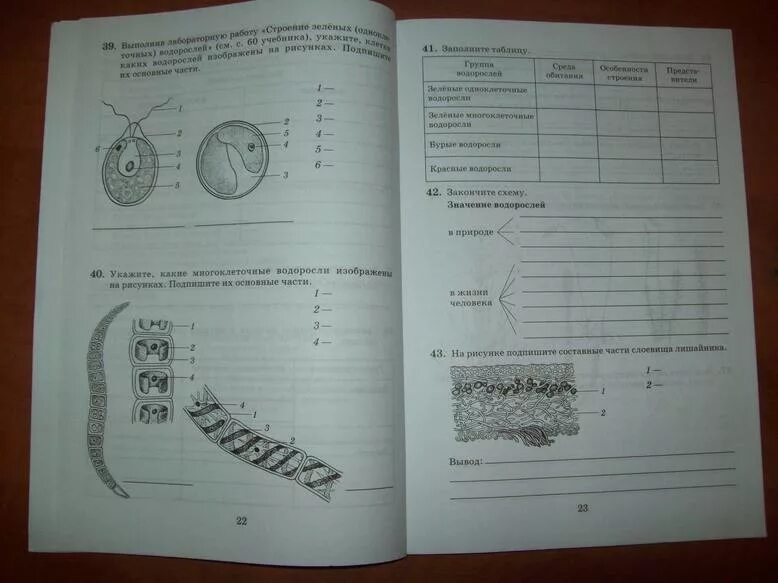 Биология 5 класс пасечник 2023 параграф 18. Биология 5 класс рабочая тетрадь Пасечник. Биология 5-6 Пасечник рабочая тетрадь. Биология 6 класс рабочая тетрадь Пасечник. Биология 7 класс рабочая тетрадь Пасечник.