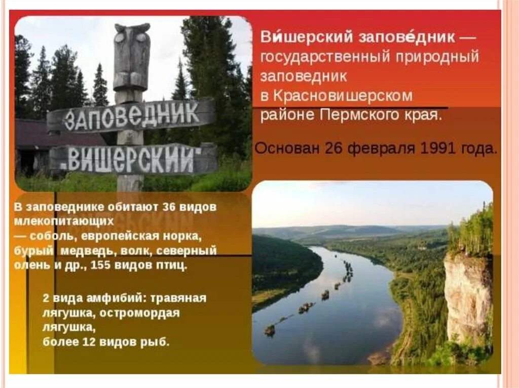 Заповедник вишерский красновишерск. Заповедники и парки пермского края. Красновишерский заповедник. Вишерский заповедник пермский край. Заповедник пермского края для детей.