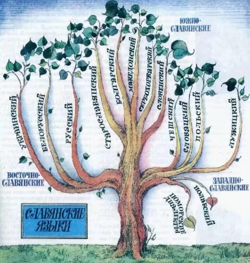 родство семьи языковых. родство семьи языковых. генеалогическая классификация языков мира. генеалогическую схему-классификацию языков мира. языки мира генеалогическая классификация.