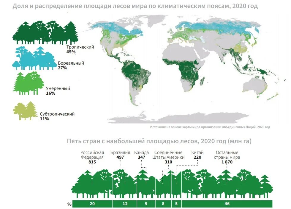 Самая лесная страна в мире. Распределение лесных ресурсов в мире. Статистика вырубки лесов в мире по годам. Статистика по вырубке лесов в мире.