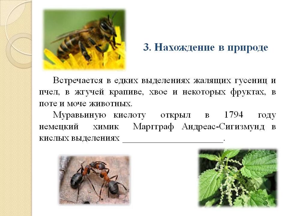 Муравьиная кислота нахождение в природе. Муравьиная кислота факты. Муравьиная кислота где встречается в природе. Муравьиная кислота в природе. Муравьиная кислота в крапиве