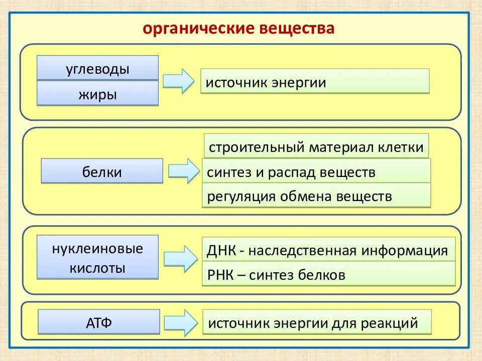 Вещества являющиеся строительным материалом клетки