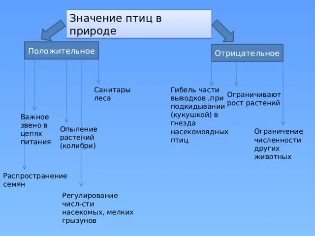 Значение птиц. Значение птиц в природе положительные и отрицательные. Значение птиц в природе и жизни человека. Положительная роль птиц в природе. Многообразие и значение птиц в природе