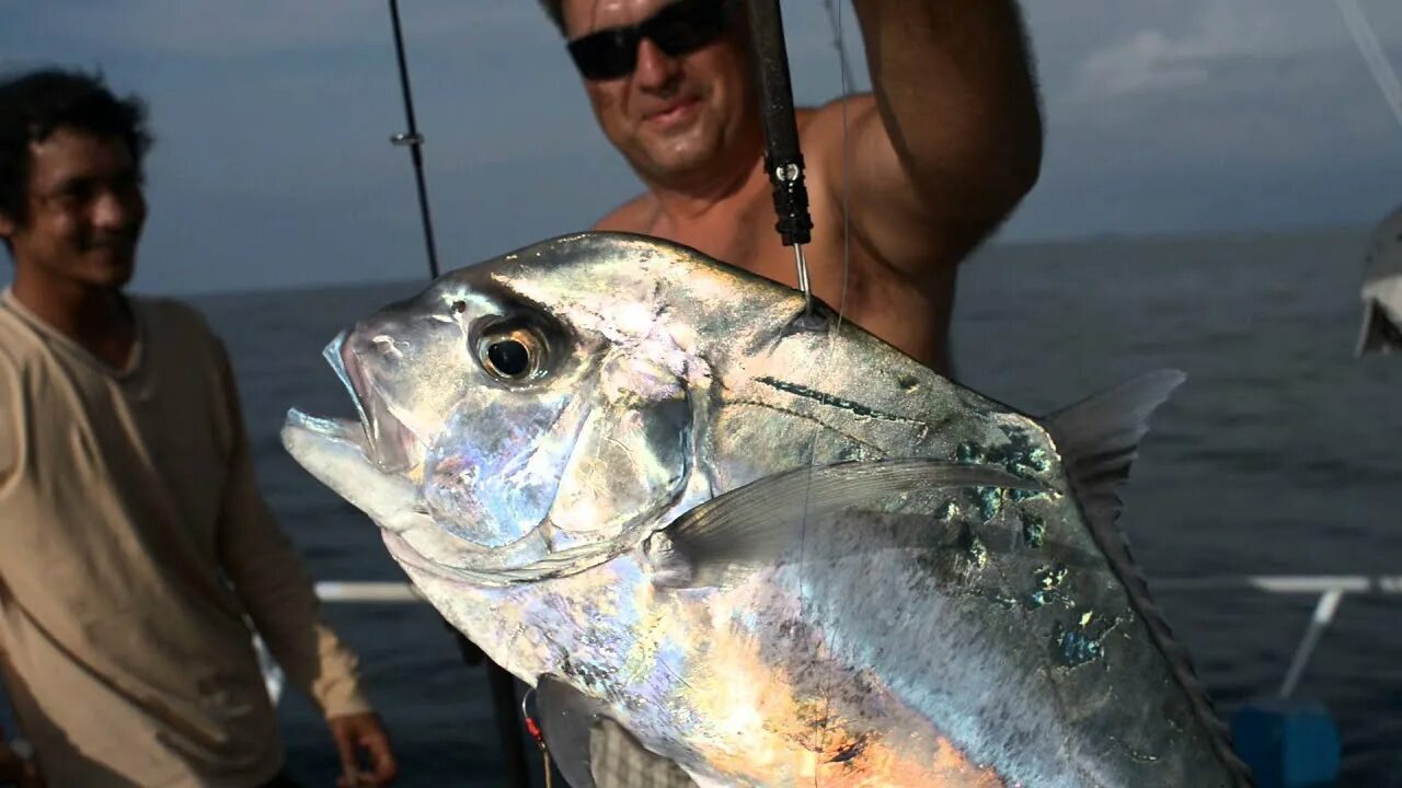 Сухая морская рыба