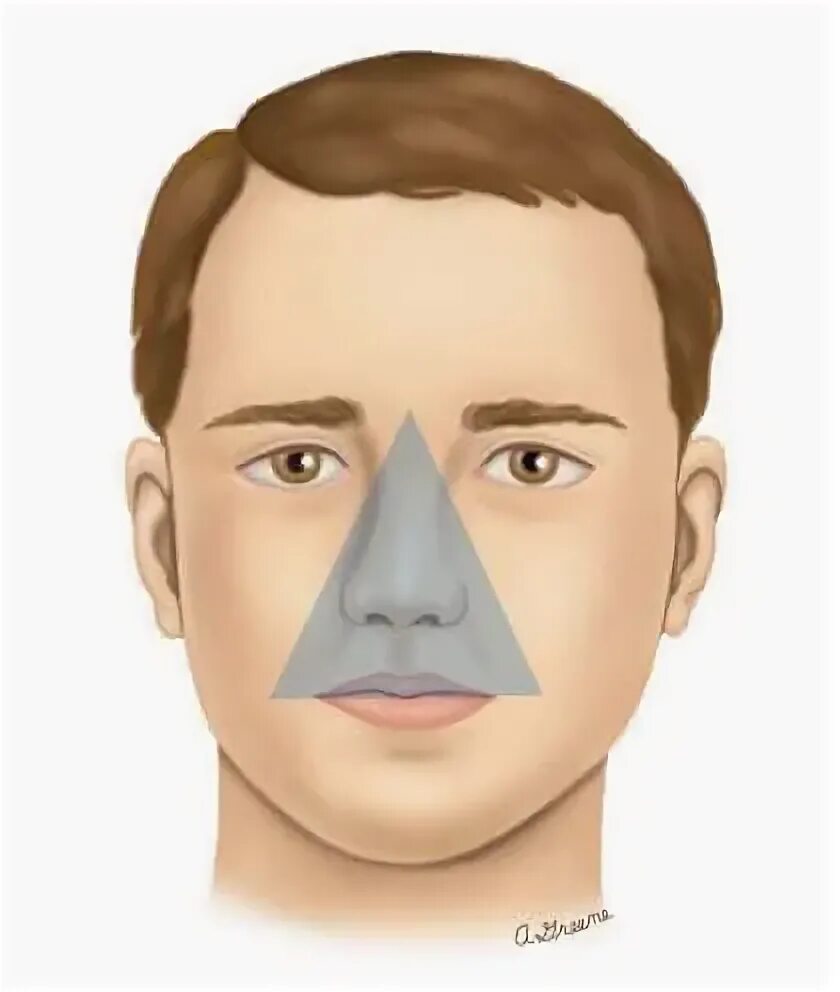 Что между лицами имеющими в