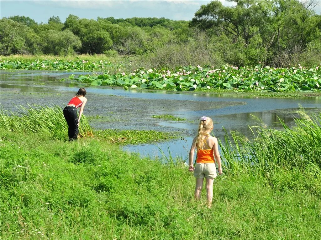 Село павло федоровка приморский край. Погода павло федоровка. Село павло-фёдоровка школа. Село павло федоровка приморский край. Погода в павло федоровка приморский.
