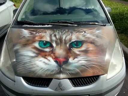 Кошки капот