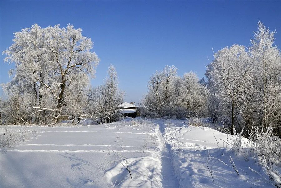 Деревня зимой. Слова песни шумел камыш. Тропинка узенькая вьется через сугробы у плетня. Тропинка узенькая вьётся через сугробы нот. Тропинка в зимнем лесу.