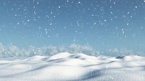 Snow d