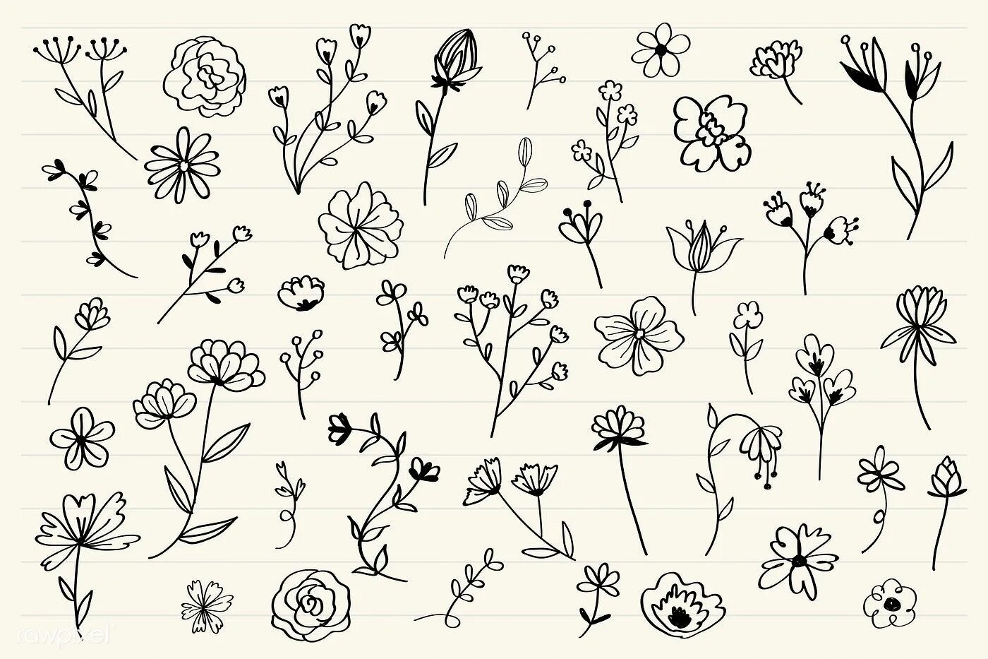 Графика маленький рисунок. Маленькие цветы рисунок. Цветы hand drawn. Паттерн цветы карандашом. Полевые цветы паттерн.