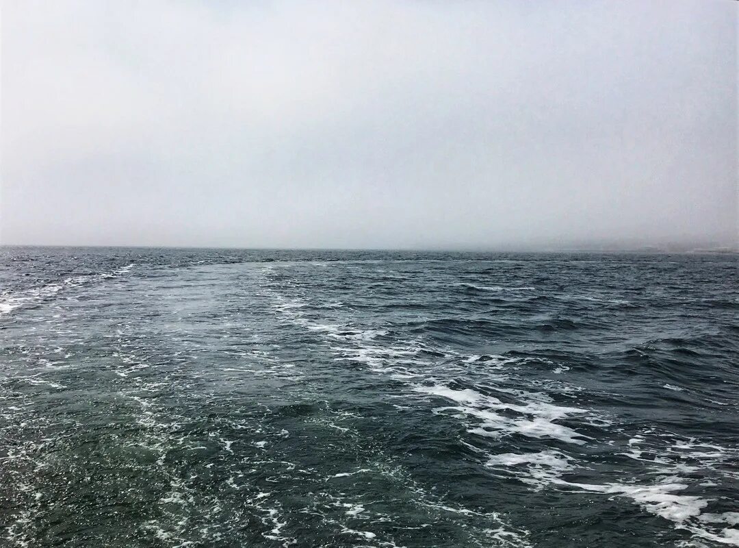 Море горизонт. Азовское море пейзажи. Вид на море фото. К морю. За полем море море.