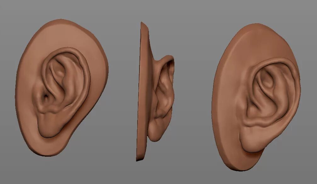 Ухо спереди. Хо. Ухо человека сбоку. Ухо. Отопластика (1 ушная раковина).