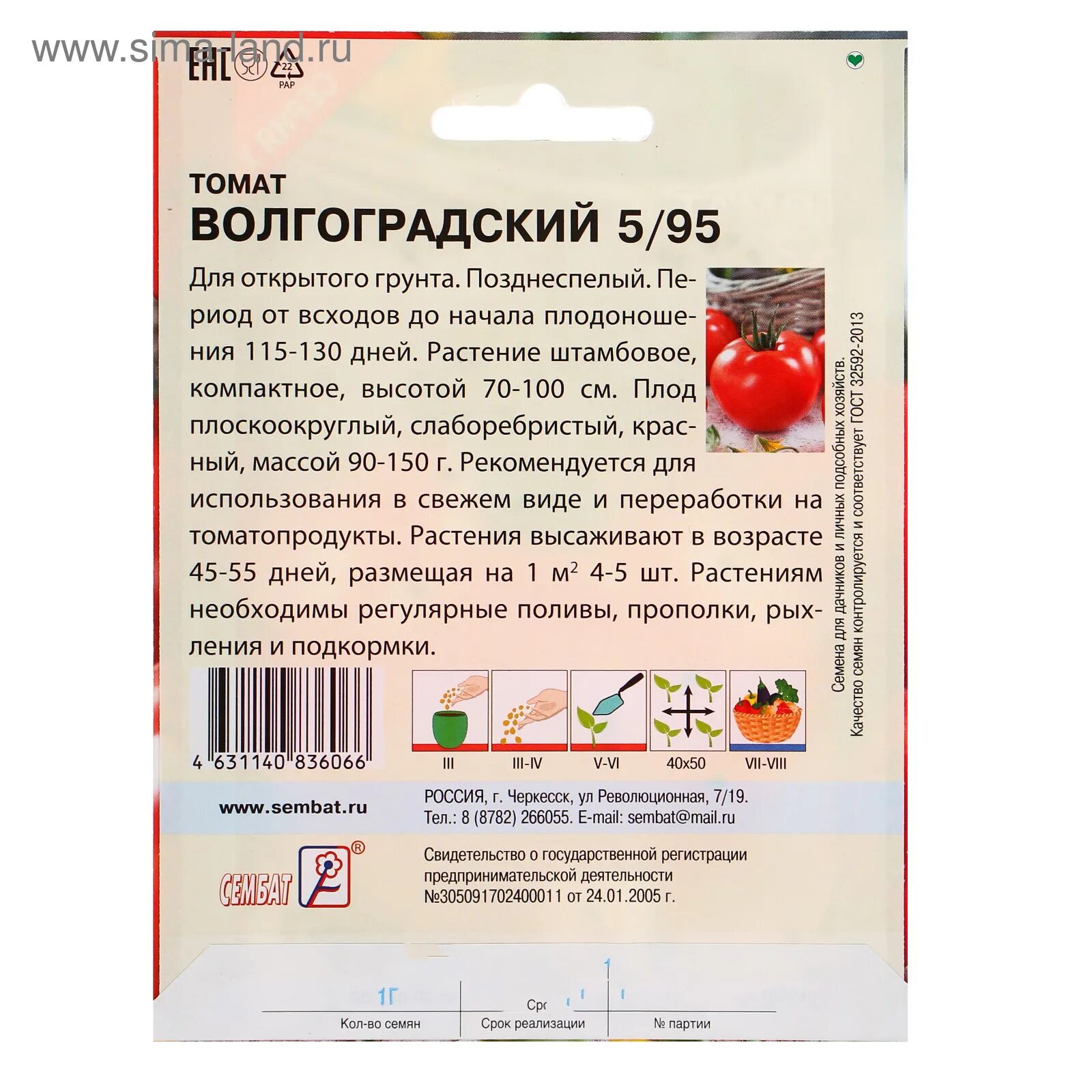 Томаты волгоградские отзывы фото урожайность. Томат Волгоградский 595. Волгоградский помидор 5/95 описание. Томат Волгоградский 5/95 характеристика. Томат Волгоградский скороспелый 323.