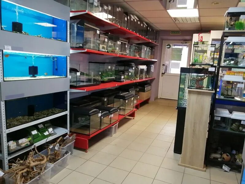 дзержинск зоомагазин грибоедова. зоооптторг интернет магазин для животных спб. зоопторг гайдара дзержинск. зоомагазин дзержинск нижегородская область. магазин для животных нижний новгород.