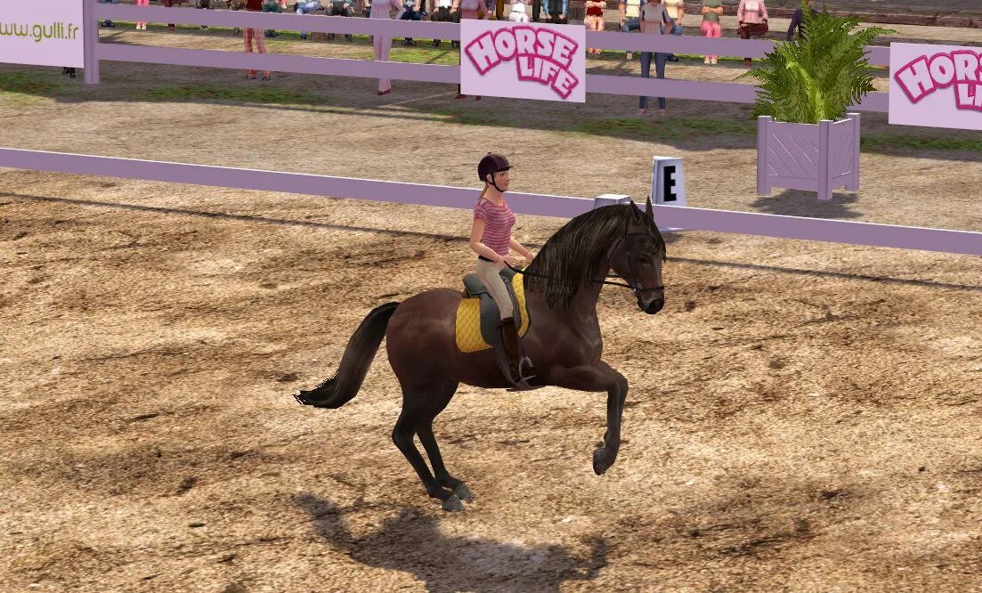 Элен игра. Ellen Whitaker's Horse Life игра. Ellen Whitaker's Horse Life (Horse Life 2). Реалистичные игры про лошадей. Игры лошади 2.