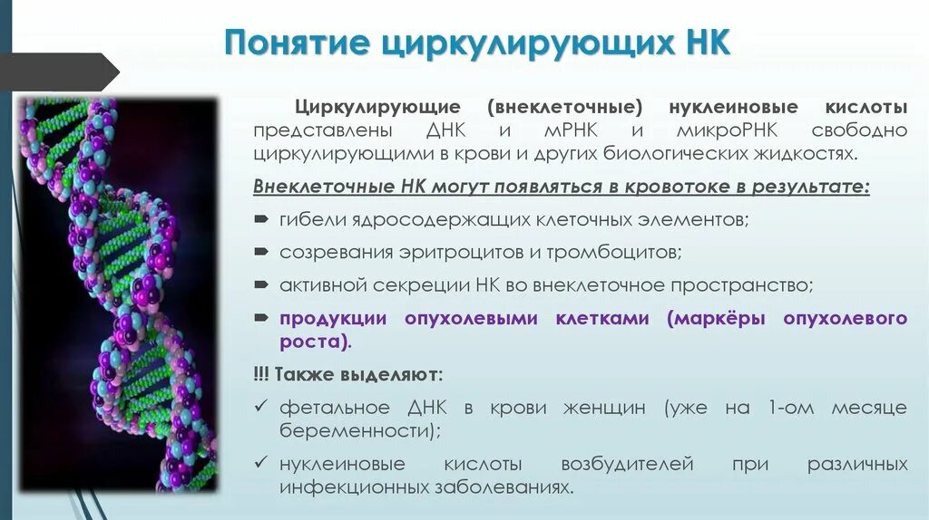 Днк опухоли. Внеклеточные нуклеиновые кислоты. Внеклеточная ДНК. Дезоксирибонуклеиновая кислота ДНК. Свободно циркулирующая ДНК.