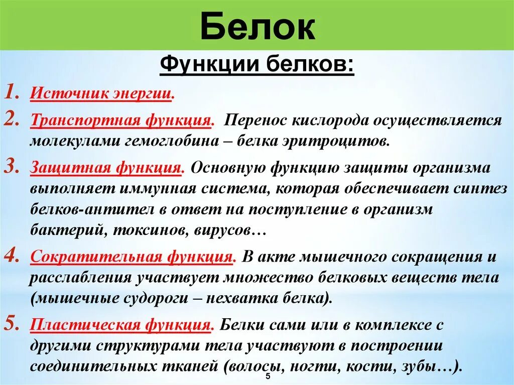 Белок 6 класс биология. Свойства и функции простых белков. Функции белков. Белки это кратко. Белки структура и функции.