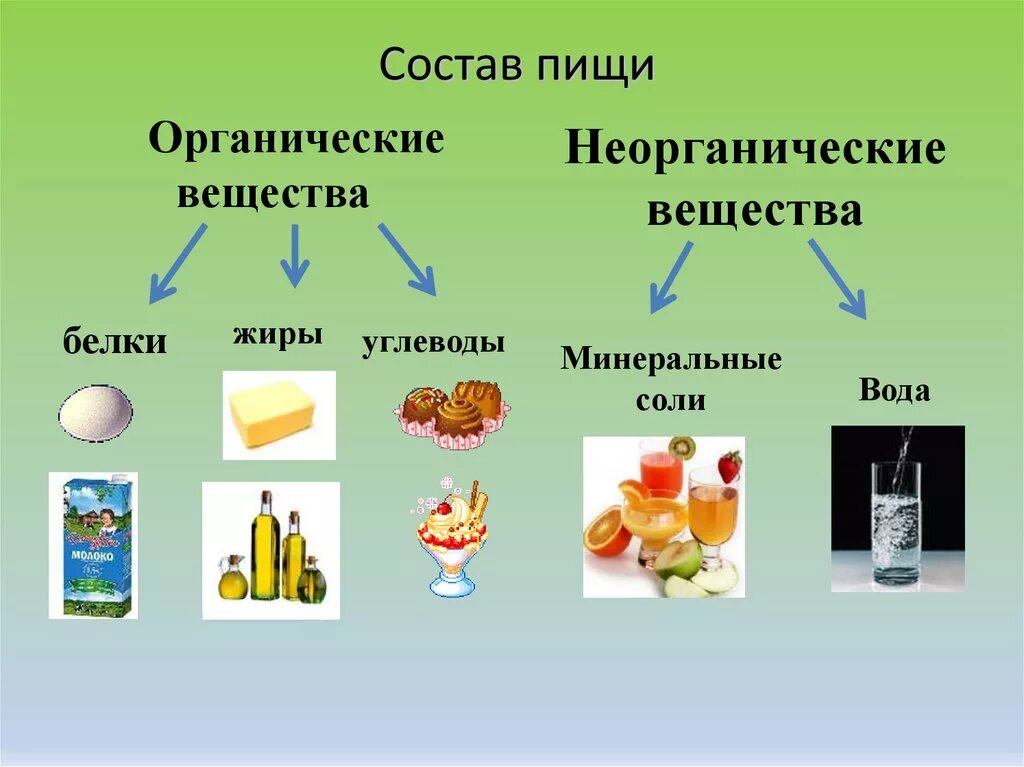 Химическое изменение пищи. Неорганические вещества в пище. Органические и неорганические вещества пищи. Состав пищи органические и неорганические вещества. Неорганические вещества продукты.