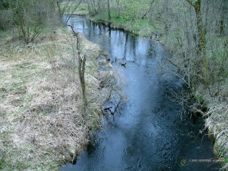 Река Вонча в Марий Эл. Река Вонча в Марий Эл на карте. Река Вонча самая чистая река.