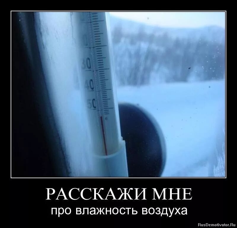 дед мороз и афоризмы. шутки про мороз. приколы про холод. цитаты про мороз смешные. крепитесь люди скоро лето.