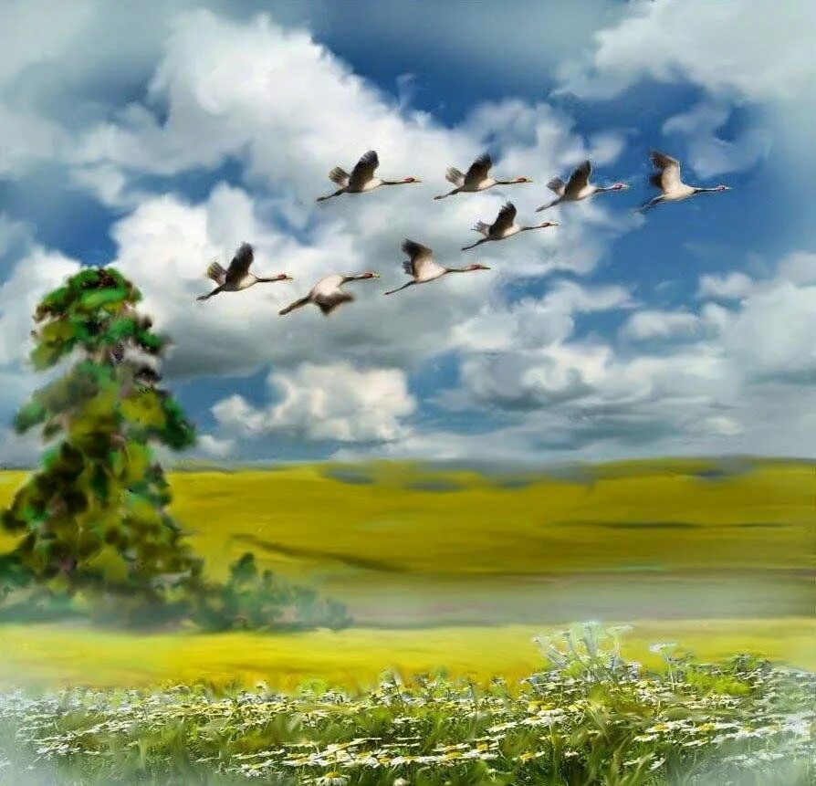 Летящий звон. Весенний пейзаж. Птицы улетают. Птицы весной. Птицы над лесом.