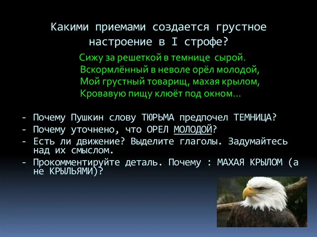 Сижу я в темнице орел молодой. Узник Пушкин. Сижу за решёткой в темнице сырой Пушкин. Стих сижу за решеткой в темнице. В темнице сырой вскормленный в неволе.