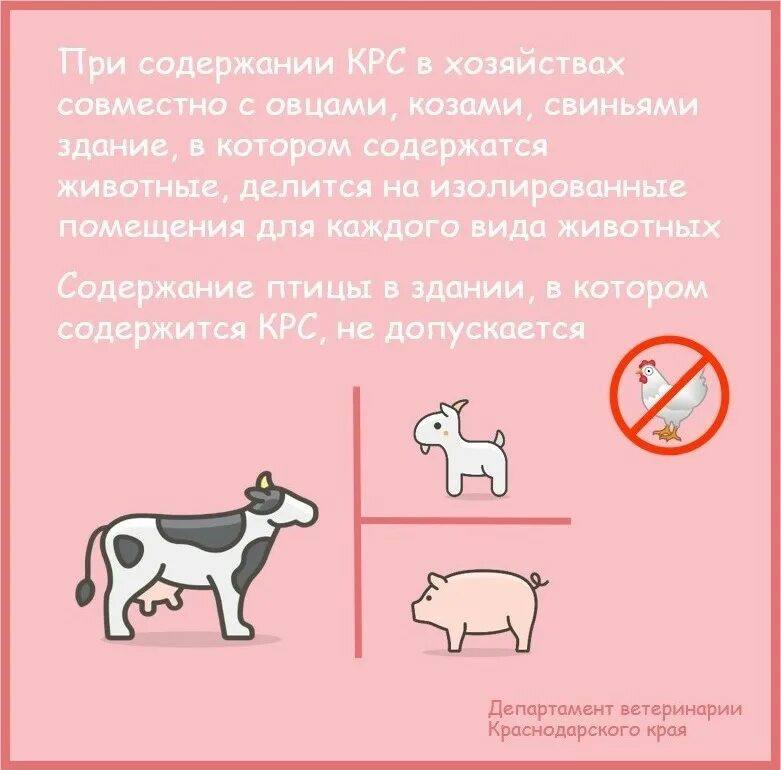 Свободный выгул скота. Выгул скота закон. Объявление о запрете выпаса скота. Выгул скота закон. Памятка о выпасе скота вблизи железнодорожных путей.