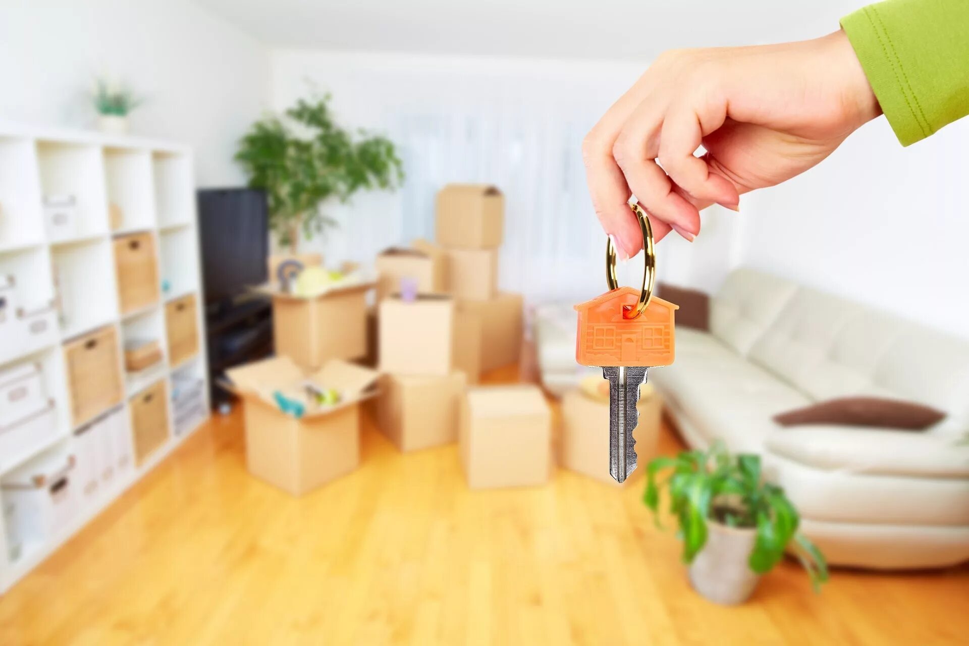 Article property